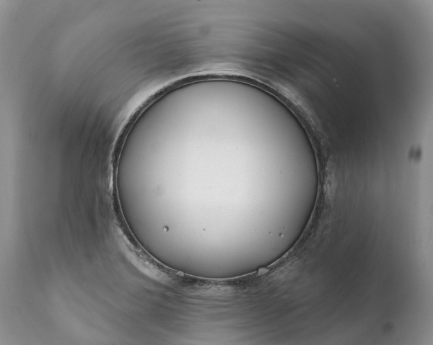 X0000111381372200907241300