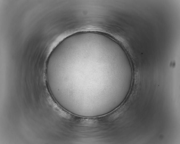 X0000111381374200907241300