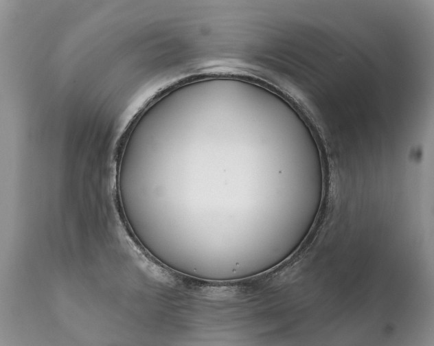 X0000111381376200907241300