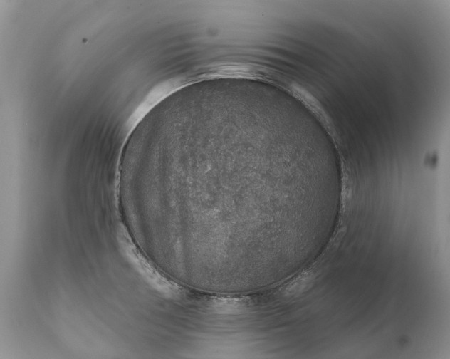 X0000111381378200907241300