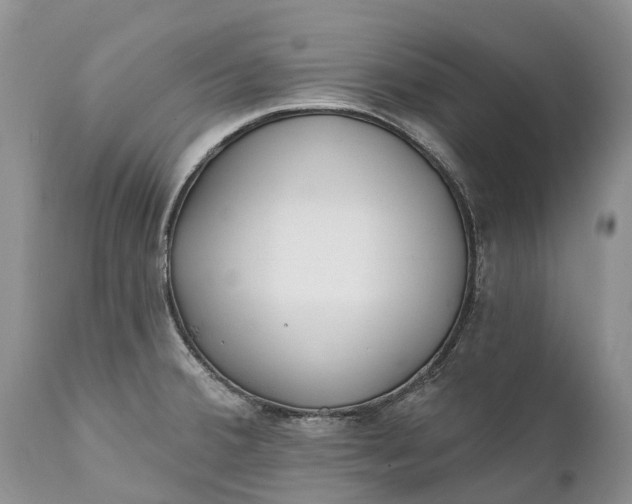 X0000111381380200907241259