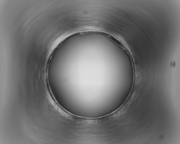 X0000111381381200907241259