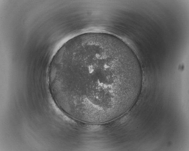 X0000111381382200907241259