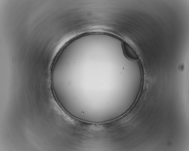 X0000111381384200907241259