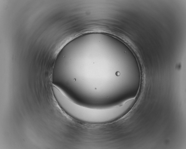 X0000111381385200907241259