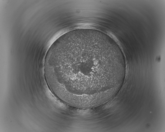 X0000111381386200907241259