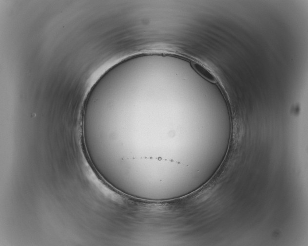 X0000111381387200907241259