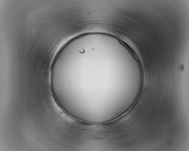 X0000111381388200907241259