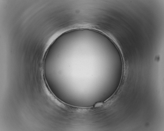 X0000111381389200907241259