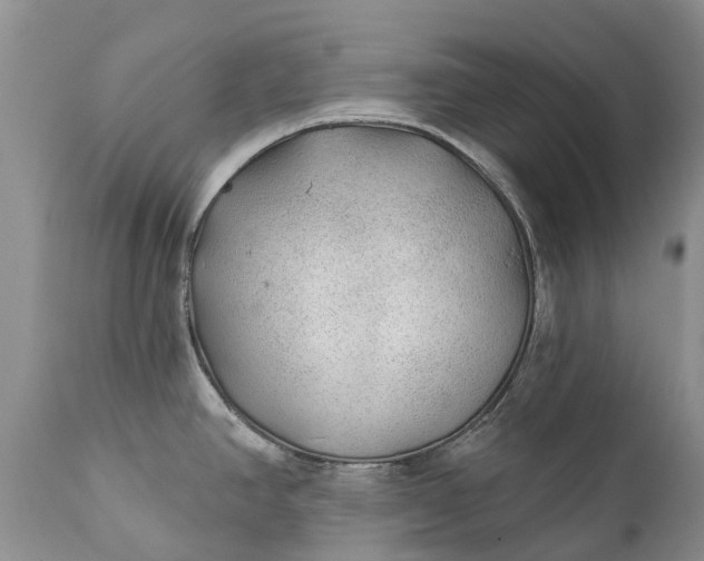 X0000111381390200907241259