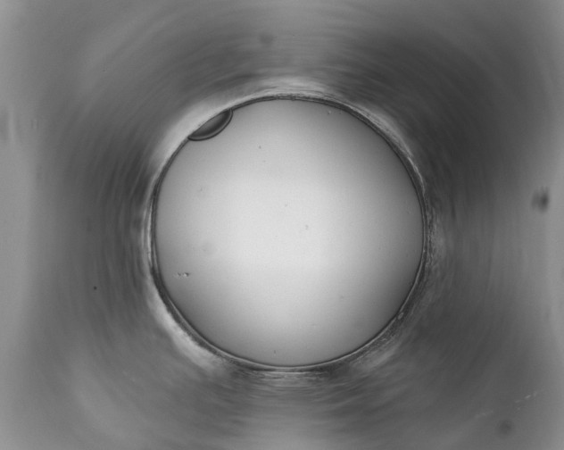 X0000111381391200907241259