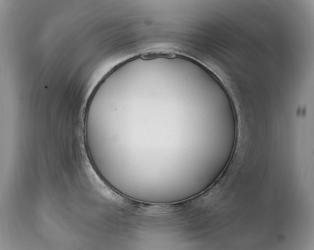 X0000111381392200907241259