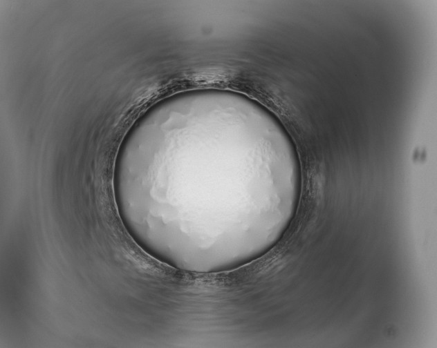 X0000111381393200907241259