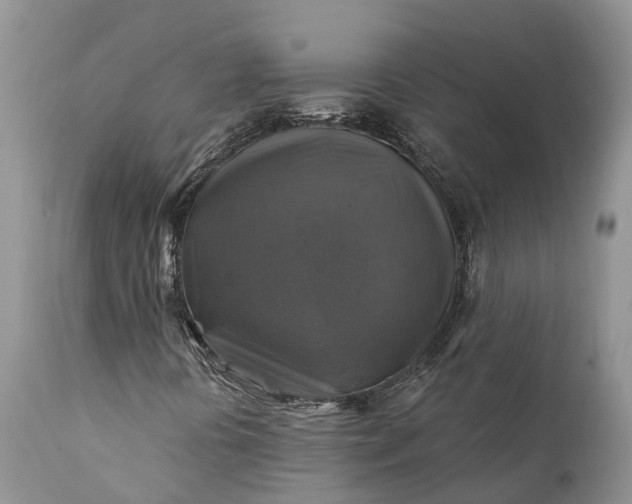 X0000111381394200907241259