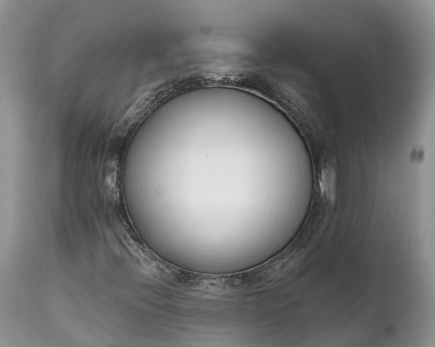 X0000111381396200907241259