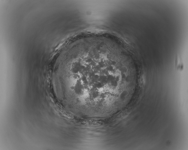 X0000111381397200907241259