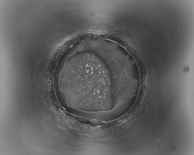 X0000111381398200907241259