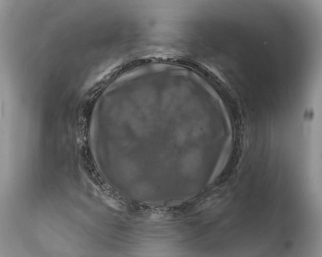 X0000111381399200907241259