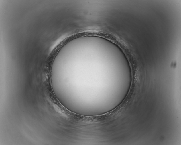 X0000111381400200907241259