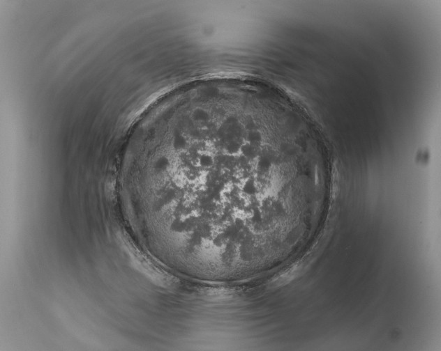 X0000111381401200907241259