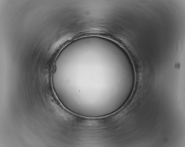 X0000111381402200907241259