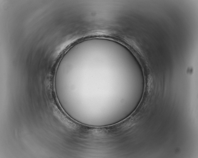 X0000111381404200907241259