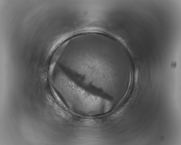 X0000111381405200907241259