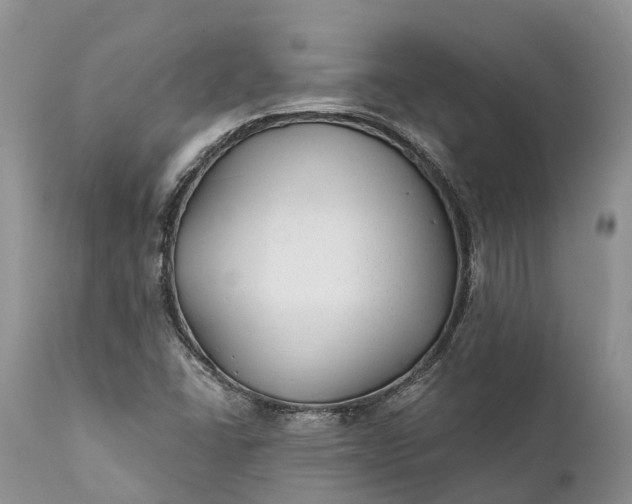 X0000111381406200907241259