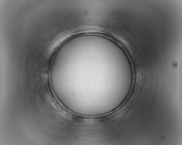 X0000111381407200907241259