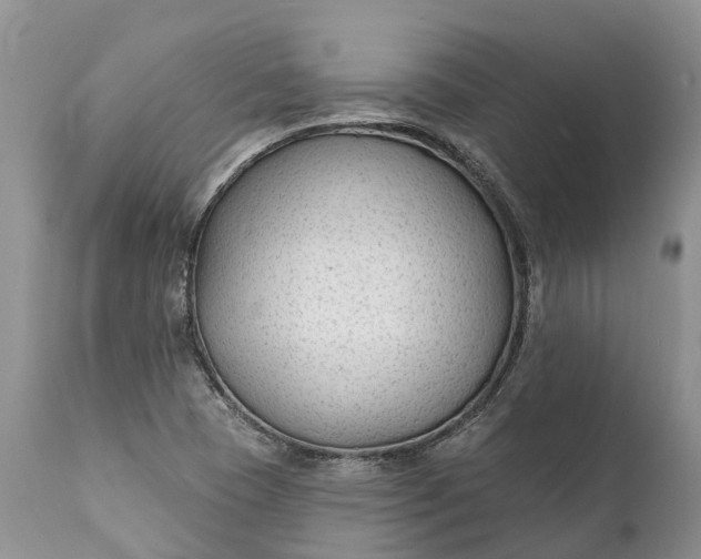 X0000111381409200907241259