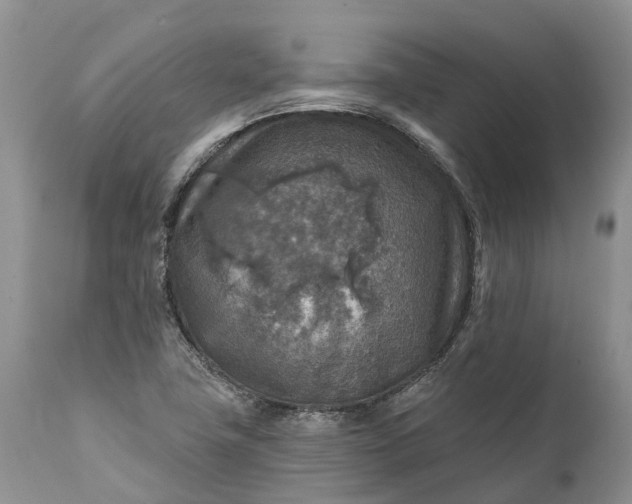 X0000111381411200907241259