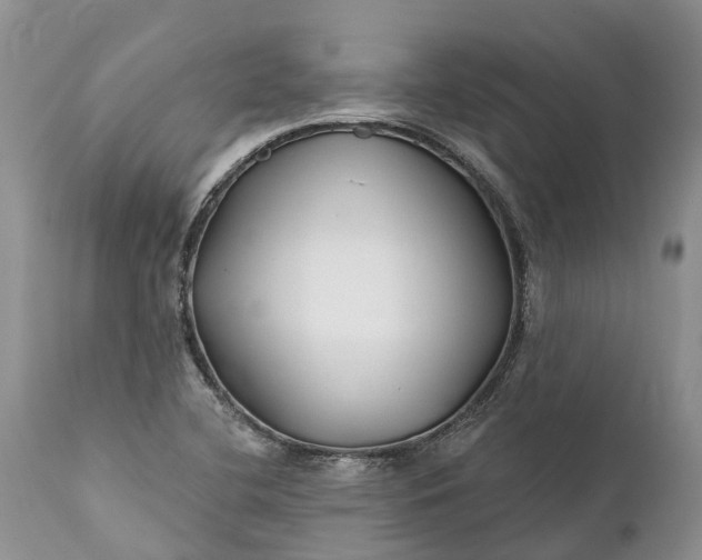 X0000111381412200907241259