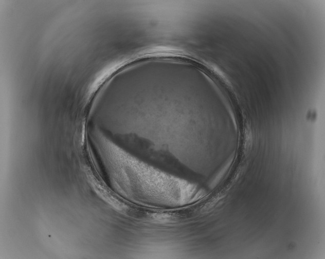 X0000111381413200907241259