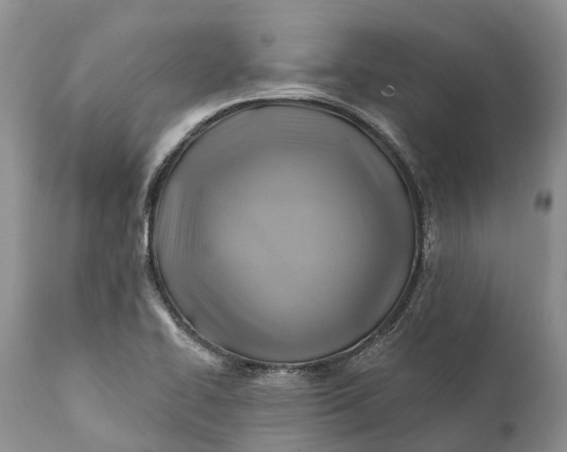 X0000111381414200907241259