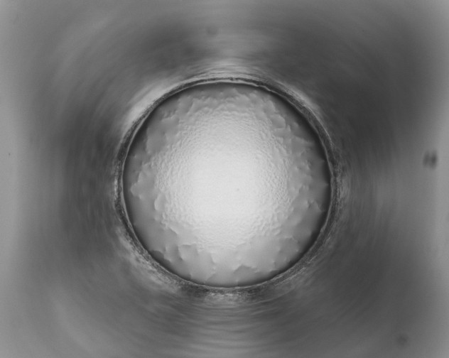 X0000111381415200907241259