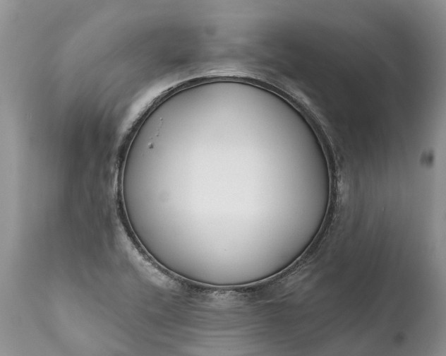 X0000111381416200907241259