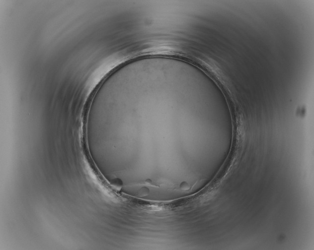 X0000111381418200907241259