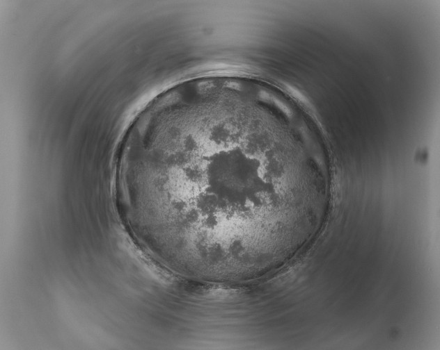 X0000111381419200907241259