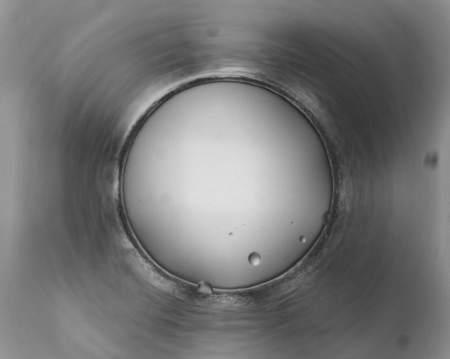 X0000111381420200907241259