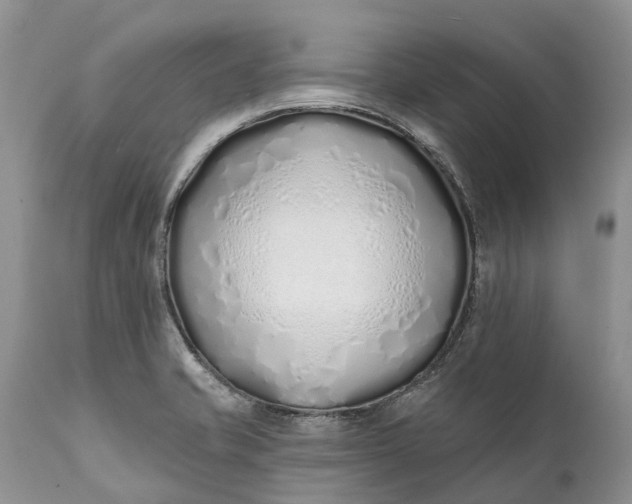 X0000111381421200907241259