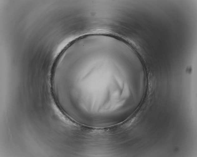 X0000111381422200907241259