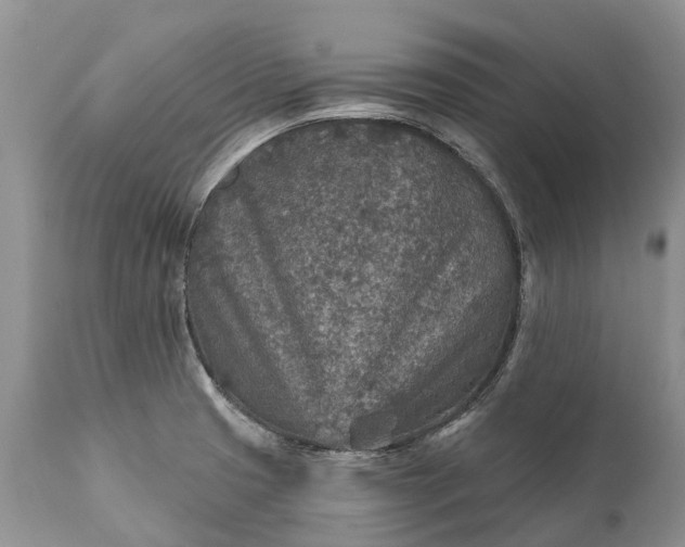 X0000111381425200907241259