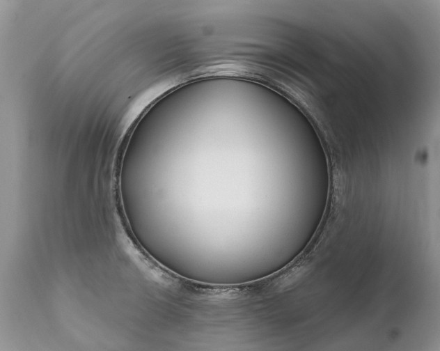 X0000111381426200907241259