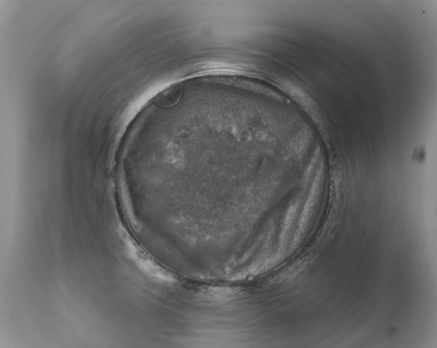 X0000111381427200907241259