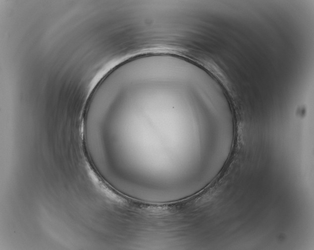 X0000111381428200907241259