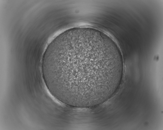 X0000111381429200907241259