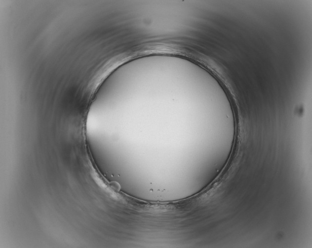 X0000111381433200907241259