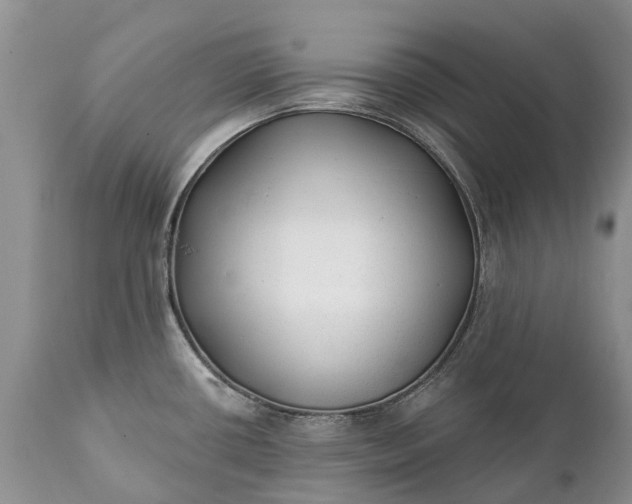 X0000111381434200907241259