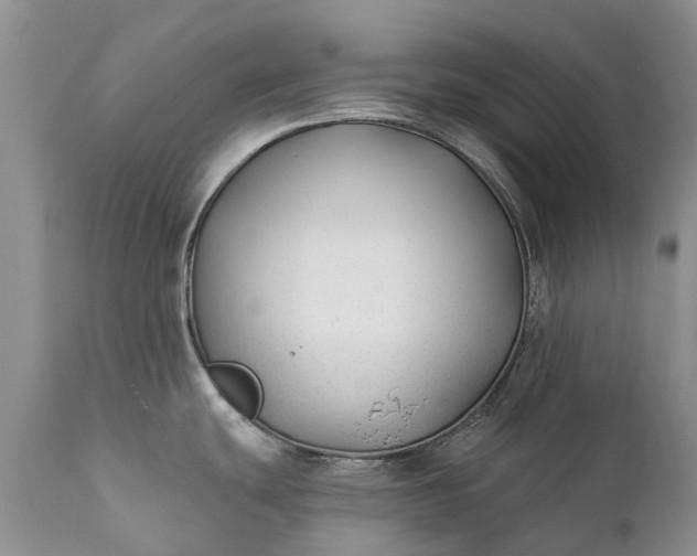 X0000111381439200907241259