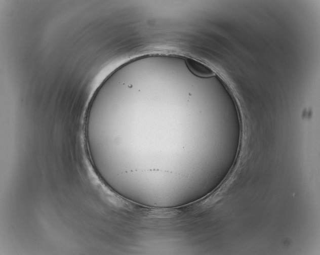 X0000111381440200907241259